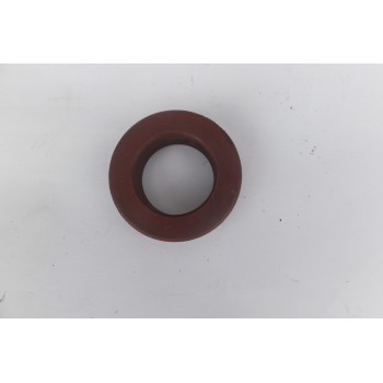 PIERŚCIEŃ OSADCZY 2015020100