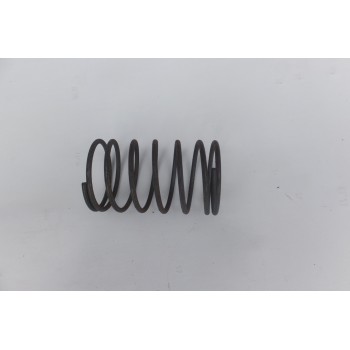 SPRĘŻYNA 2015020110