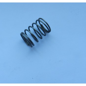 sprężyna zaworu  przeciwzwrotnego 01936410