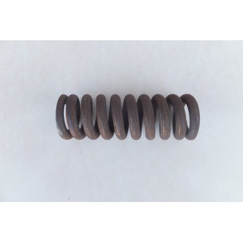 SPRĘŻYNA 5040100390