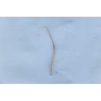 USZCZELKA FILCOWA 5X4X302 54302